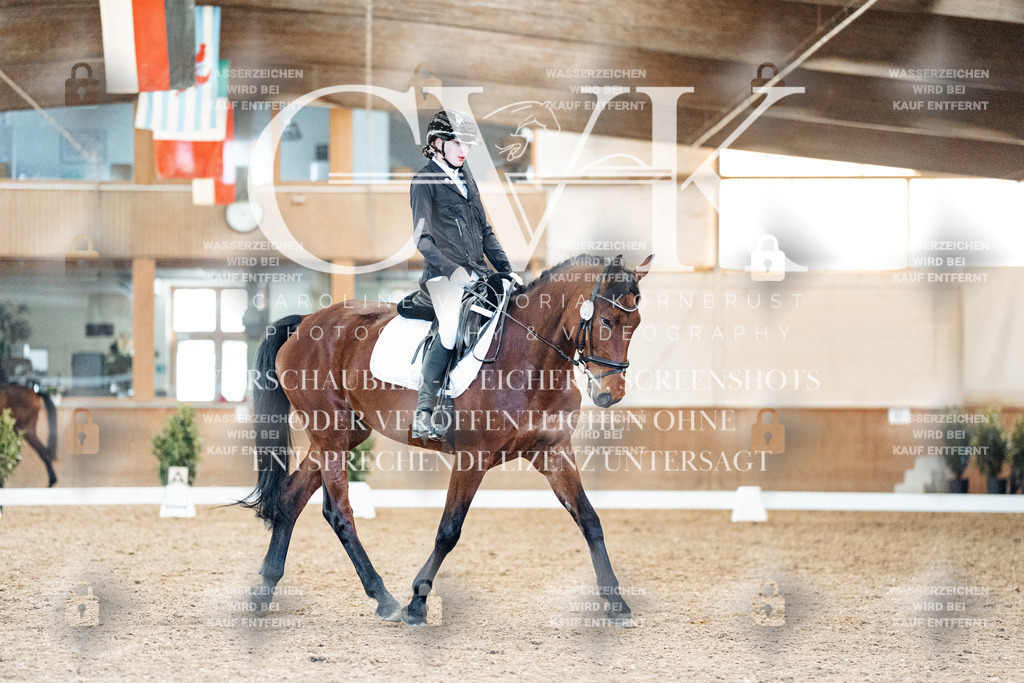 CK908660 | Turnierfotografie Pferdefotografie Trier Rheinland-Pfalz Pferdesport Reitsport Tierfotografie Sportfotografie Pferdevideo Pferdevideografie Equestrianvideography equestrianphotography  - Realized with Pictrs.com
