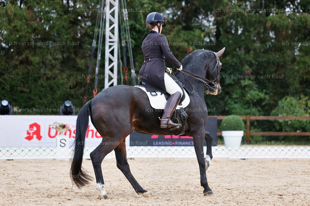 07-191-DRESSUR  S___  -StoibPH-4991 | working equitationturnier fotograf videograf stoibphotography marixx film working equitation deutschland reitsport turnierfotografie eventfotografie equestrian events