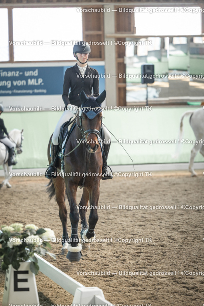 _D5A8725 | Emotionale Pferde- & People-Fotografie rund um Heidelberg, Leimen & Umgebung. Natürliche Fotos von Pferd, Mensch & Familie. Jetzt Termin sichern!