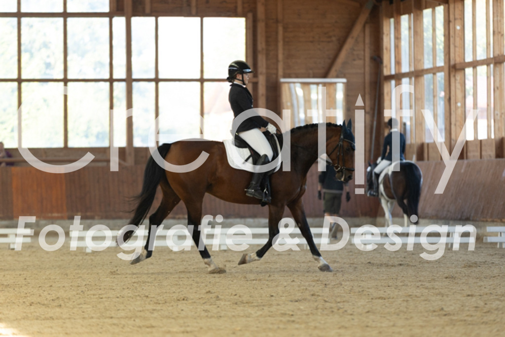 IMG_7949 | Creatify Fotografie