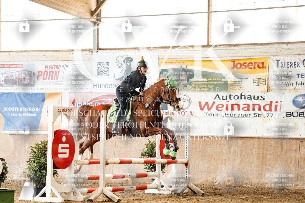 CK905453 | Turnierfotografie Pferdefotografie Trier Rheinland-Pfalz Pferdesport Reitsport Tierfotografie Sportfotografie Pferdevideo Pferdevideografie Equestrianvideography equestrianphotography  - Realisiert mit Pictrs.com