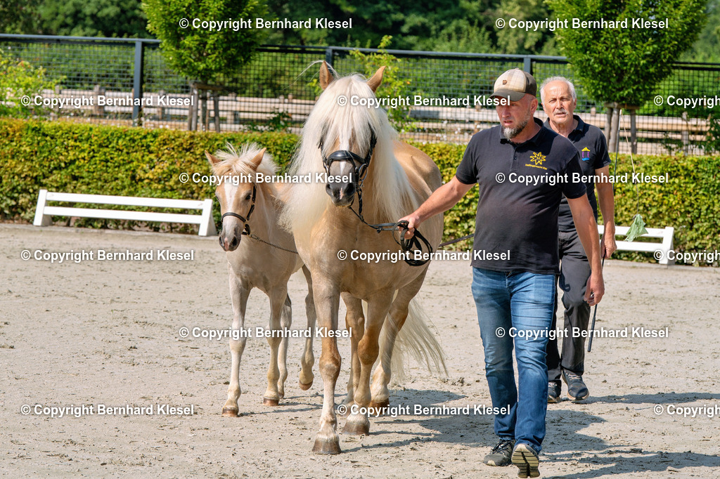 2A909258 | foto-team-bernhard - Realisiert mit Pictrs.com