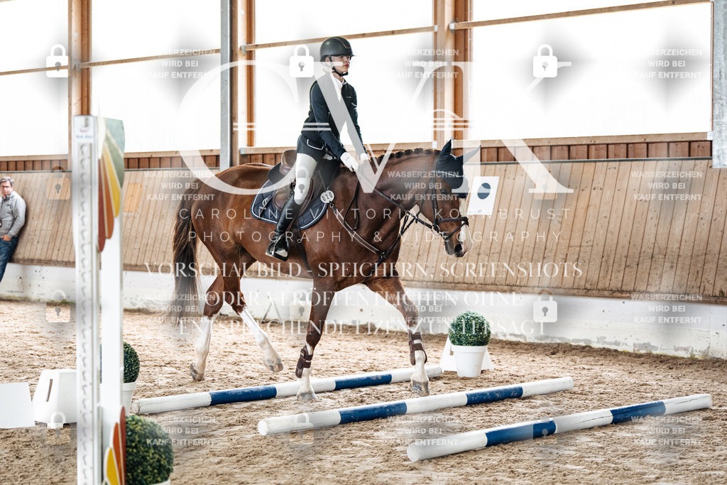 CK902582 | Turnierfotografie Pferdefotografie Trier Rheinland-Pfalz Pferdesport Reitsport Tierfotografie Sportfotografie Pferdevideo Pferdevideografie Equestrianvideography equestrianphotography  - Realisiert mit Pictrs.com