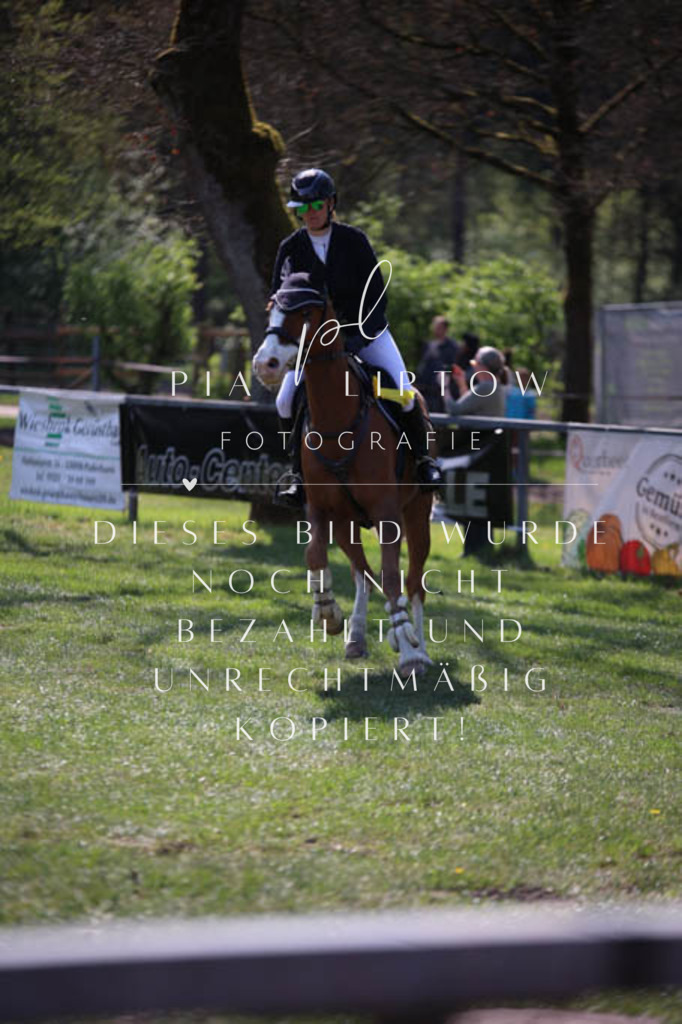 IMGT5755 | pl-fotografie