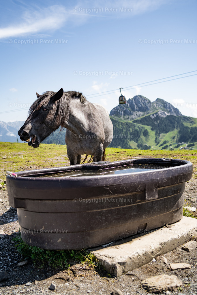 falkensteiner carinthia tag 2-42 | piet_flosse