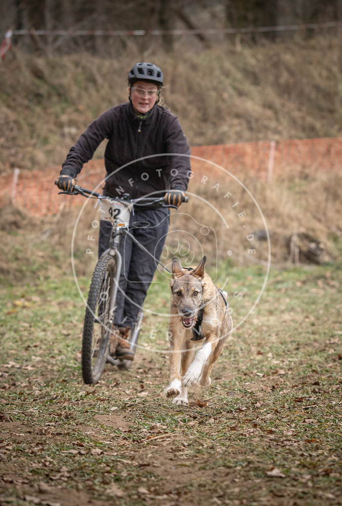 Pfotenfotografie_DV3A6639 | Hundefotografie, Tierfotograf, Pfotenfotografie, Fotoshooting Hund, Hunde Portrait, Hundesport, Hundeportraits, Heideshooting, Hunde, Sportfotograf, Hundefotograf, Turnierhundsport, THS,  - Realisiert mit Pictrs.com