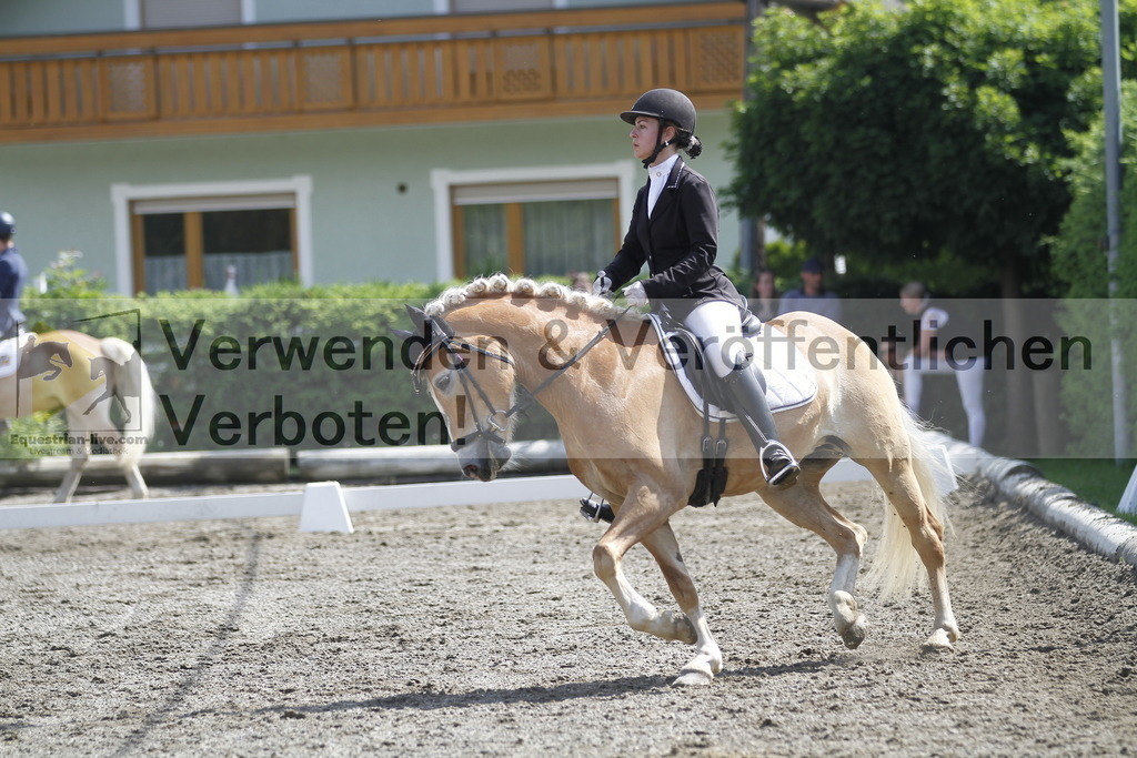_MG_9875 | equestrian-live-com