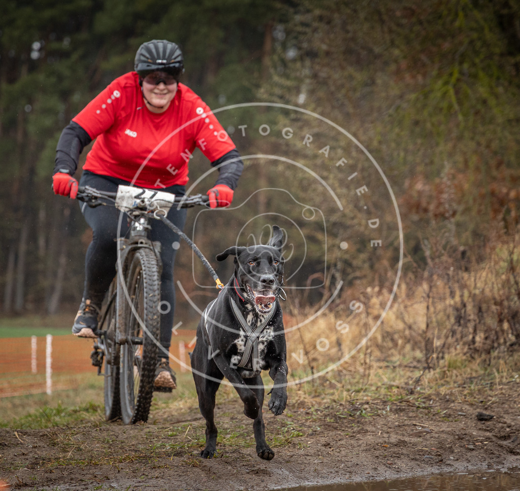 0L8A8877 | Hundefotografie, Tierfotograf, Pfotenfotografie, Fotoshooting Hund, Hunde Portrait, Hundesport, Hundeportraits, Heideshooting, Hunde, Sportfotograf, Hundefotograf, Turnierhundsport, THS,  - Realisiert mit Pictrs.com