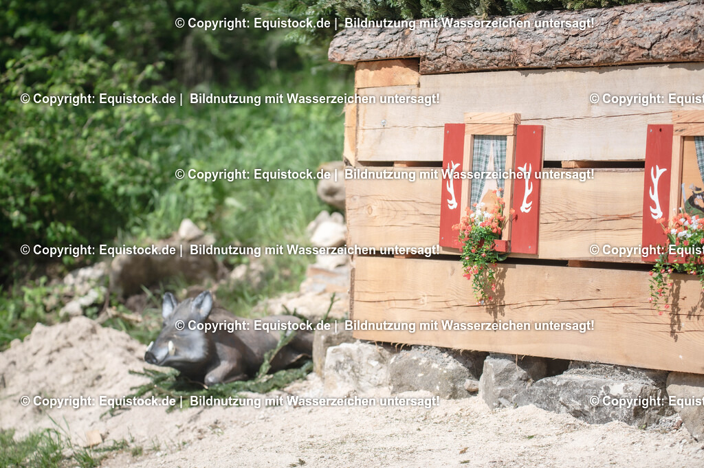 20240511_Impressionen_0074 | Foto: Thomas Hartig