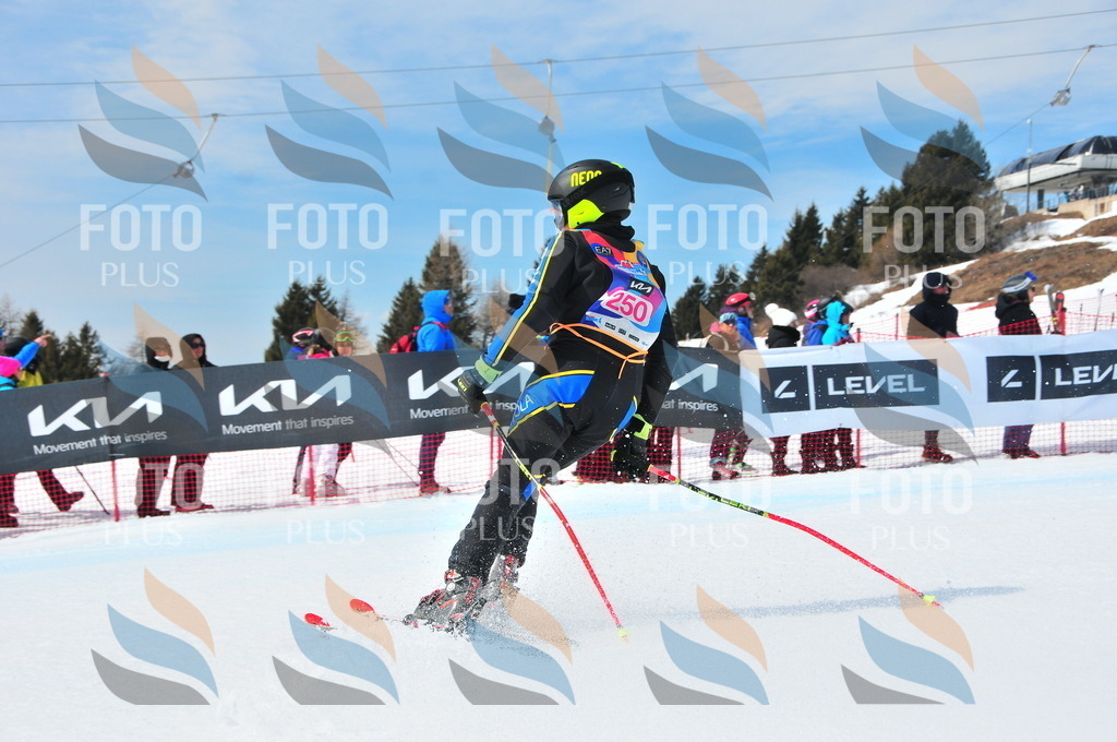 DSC_6088 | holidayphoto