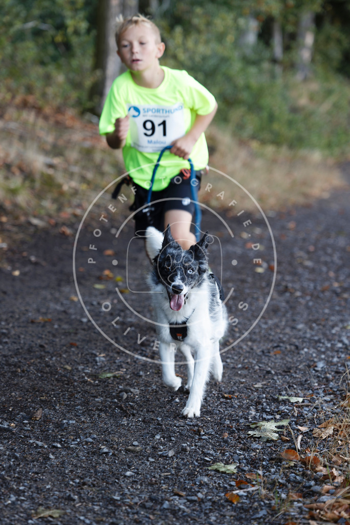 0L8A2174 | Hundefotografie, Tierfotograf, Pfotenfotografie, Fotoshooting Hund, Hunde Portrait, Hundesport, Hundeportraits, Heideshooting, Hunde, Sportfotograf, Hundefotograf, Turnierhundsport, THS,  - Realisiert mit Pictrs.com