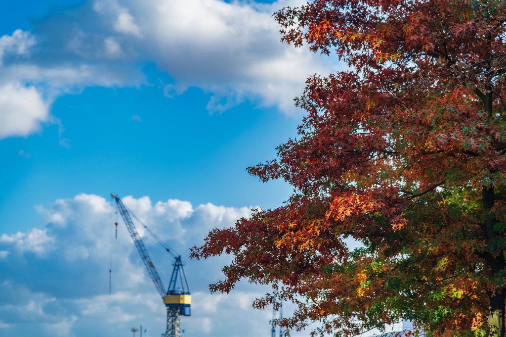2024_10_22_HH-ALTONA-HERBST_MCP3454 | Hochwertig gedruckte Fotografien für die Wand, als Kalender und zum Verschenken. Hamburg & Norddeutschland und überall wo ich mit der Kamera unterwegs war.