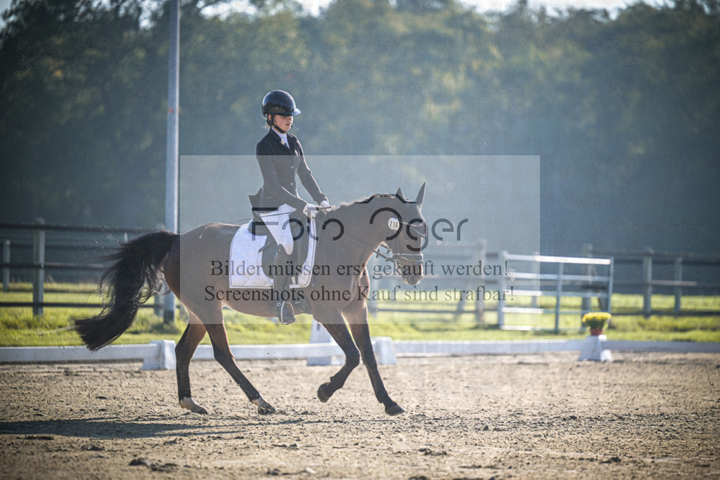 DOS_0647 | Entdecke hochwertige Reitturnierfotos von Foto Oger. Professionell, emotional und authentisch – jetzt Lieblingsmomente im Shop bestellen.Deutschlandweite Turnierfotografie. - Realisiert mit Pictrs.com