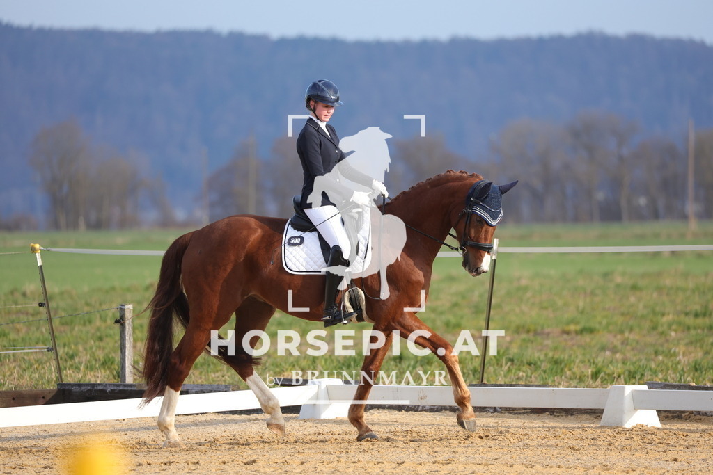 0P6A5947 | Willkommen bei Brunnmayr - Design & Fotografie – Ihrem Spezialisten für Reitturniere und Pferdeveranstaltungen in Oberösterreich, Salzburg und Bayern! Seit über 17 Jahren sind wir leidenschaftlich dabei.