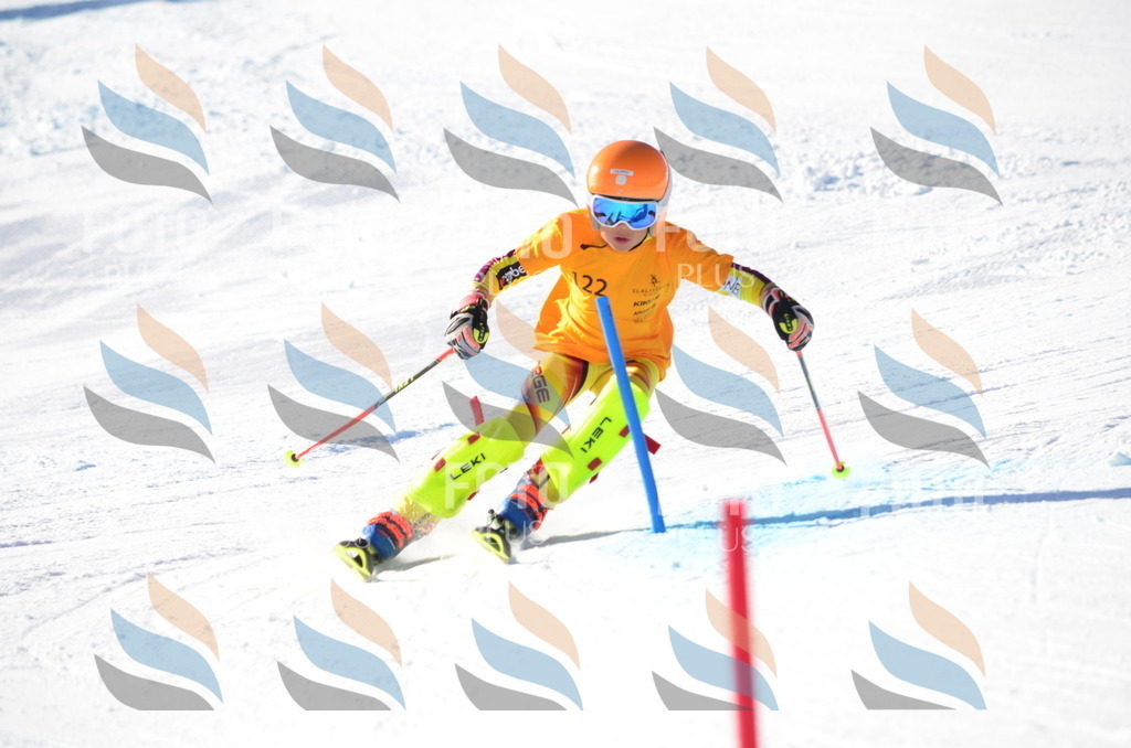 C6367 | holidayphoto