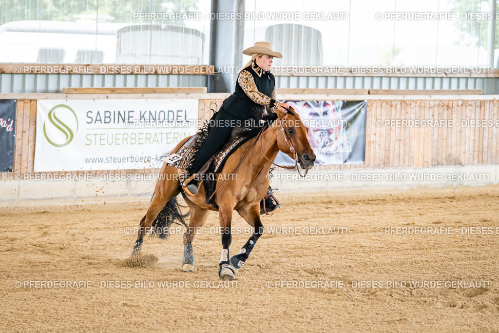 DSC05267 | Pferdegrafie