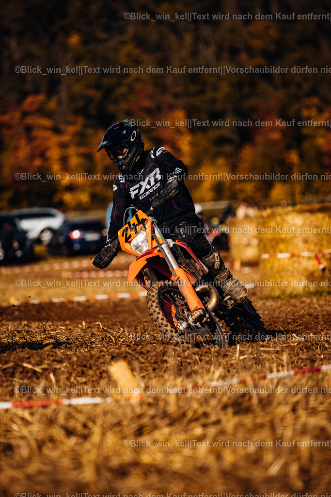 E68A8175 | blick_win_kel