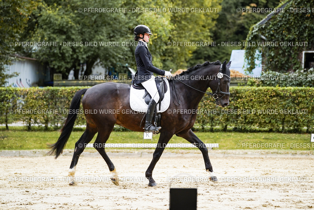 DSC07756 | Pferdegrafie