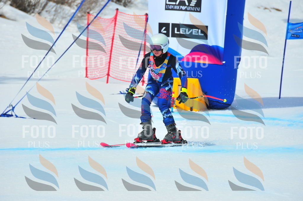 DSC_7256 | holidayphoto