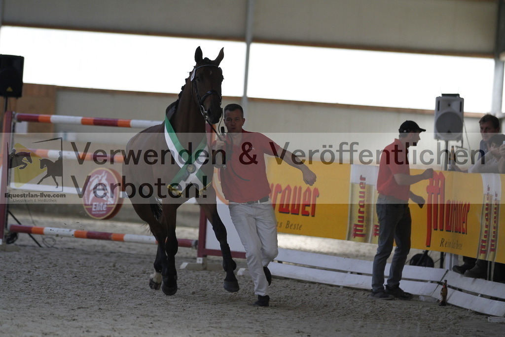 _MG_0755 | equestrian-live-com