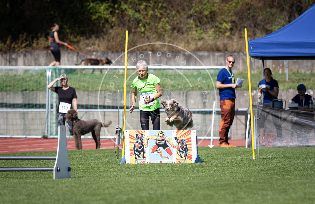 Pfotenfotografie_DV3A8275 | Hundefotografie, Tierfotograf, Pfotenfotografie, Fotoshooting Hund, Hunde Portrait, Hundesport, Hundeportraits, Heideshooting, Hunde, Sportfotograf, Hundefotograf, Turnierhundsport, THS,  - Realisiert mit Pictrs.com