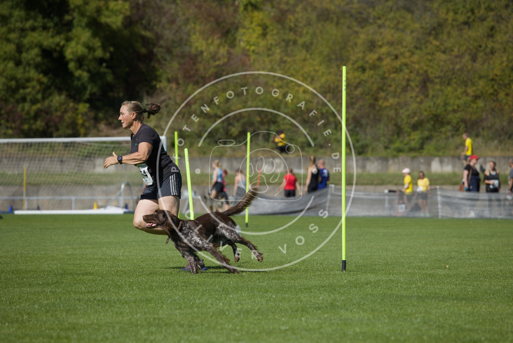 0L8A6544 | Hundefotografie, Tierfotograf, Pfotenfotografie, Fotoshooting Hund, Hunde Portrait, Hundesport, Hundeportraits, Heideshooting, Hunde, Sportfotograf, Hundefotograf, Turnierhundsport, THS,  - Realisiert mit Pictrs.com