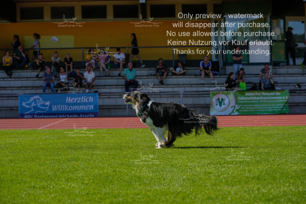 Sonntag_VK Hindernis (489 von 671) | stephaniefillaphotographie - Realisiert mit Pictrs.com