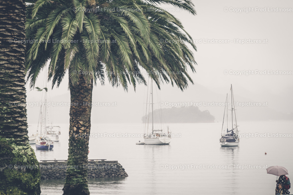 Neuseeland-0651 | Fotos und Fotoprodukte - Realisiert mit Pictrs.com