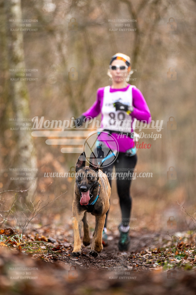 Reiat2023_SON_CaniXRun_8km_W-9 | PayLife