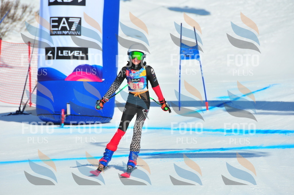 DSC_4399 | holidayphoto