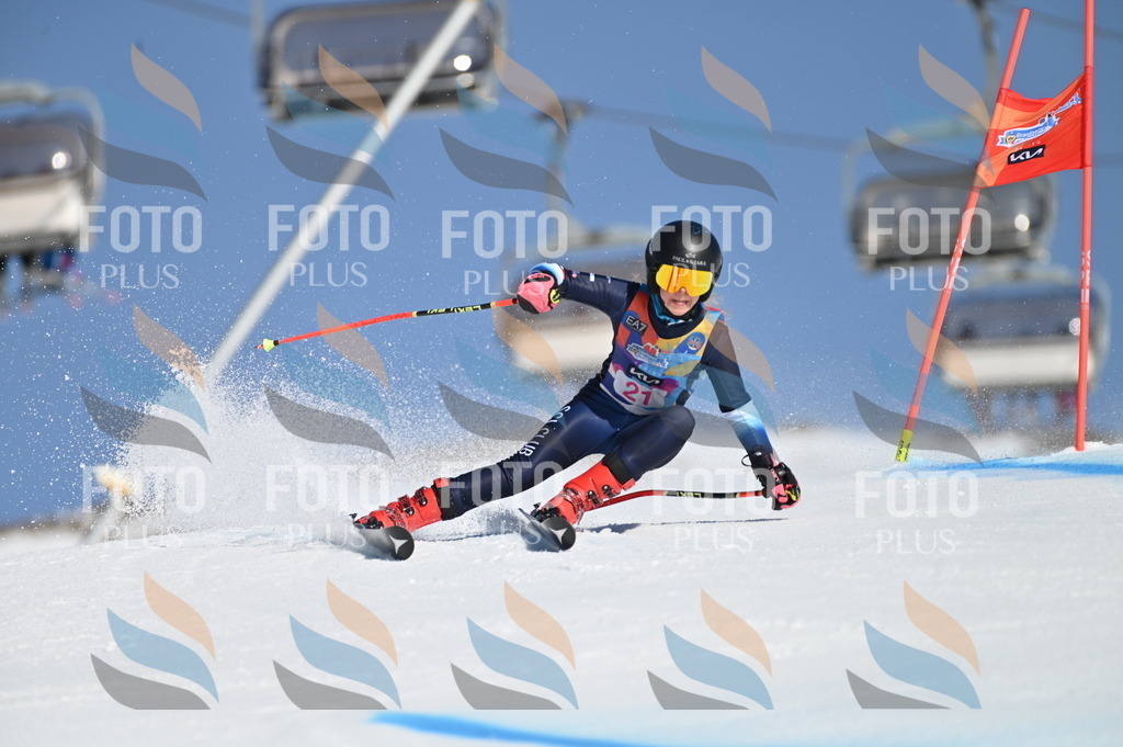 BGV_7948 | holidayphoto