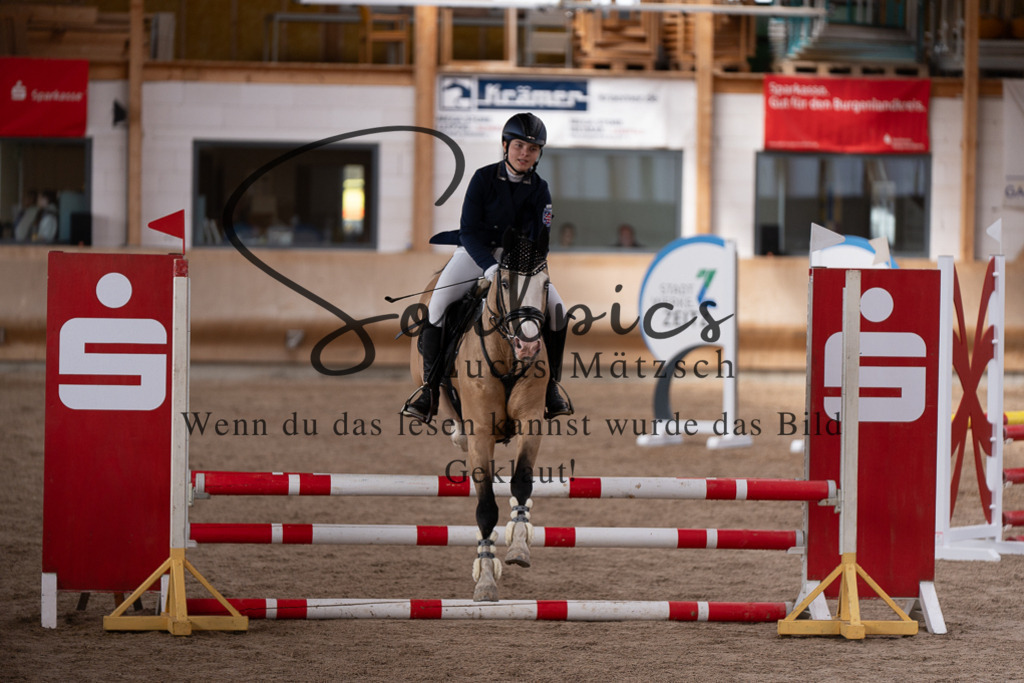 A7507501 | Pferdefotograf