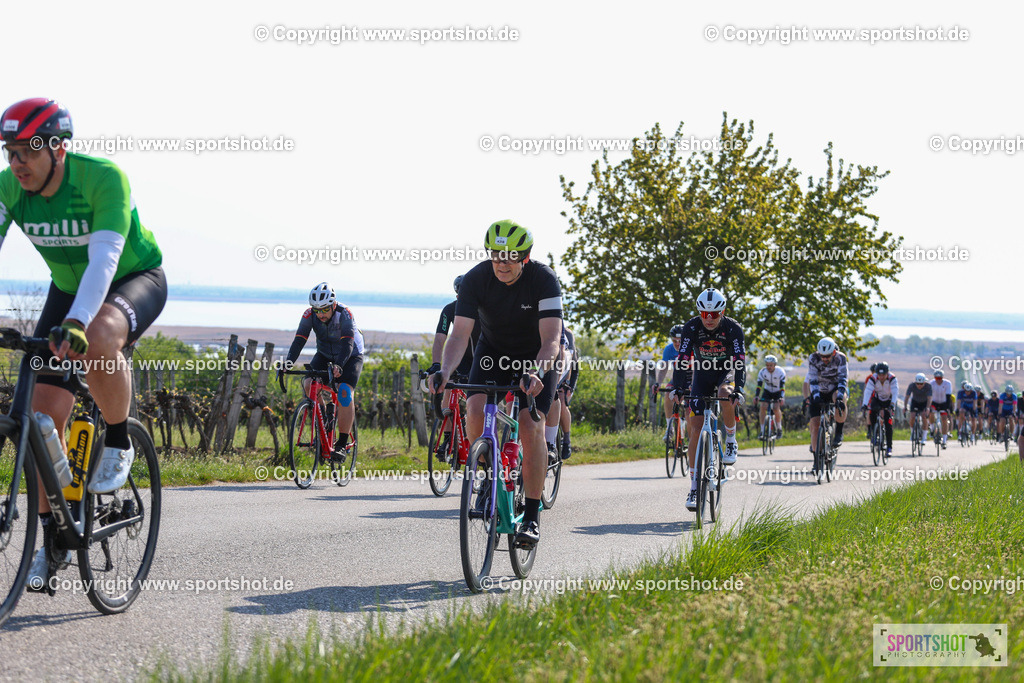 IMG_1465 | @sportshot_your_pictrs #yourpictures#roadtowm2029 #nrm #neusiedlerseeradmarathon #neusiedlersee #neusiedlerseetourismus #burgenland #mörbisch #nrm26 #burgenlandtourismus #voglundco #poweredbyburgenlandtourismus #radsport #rad #marathon #ucigranfondo #visitburgenland #ucigranfondoworldseries
