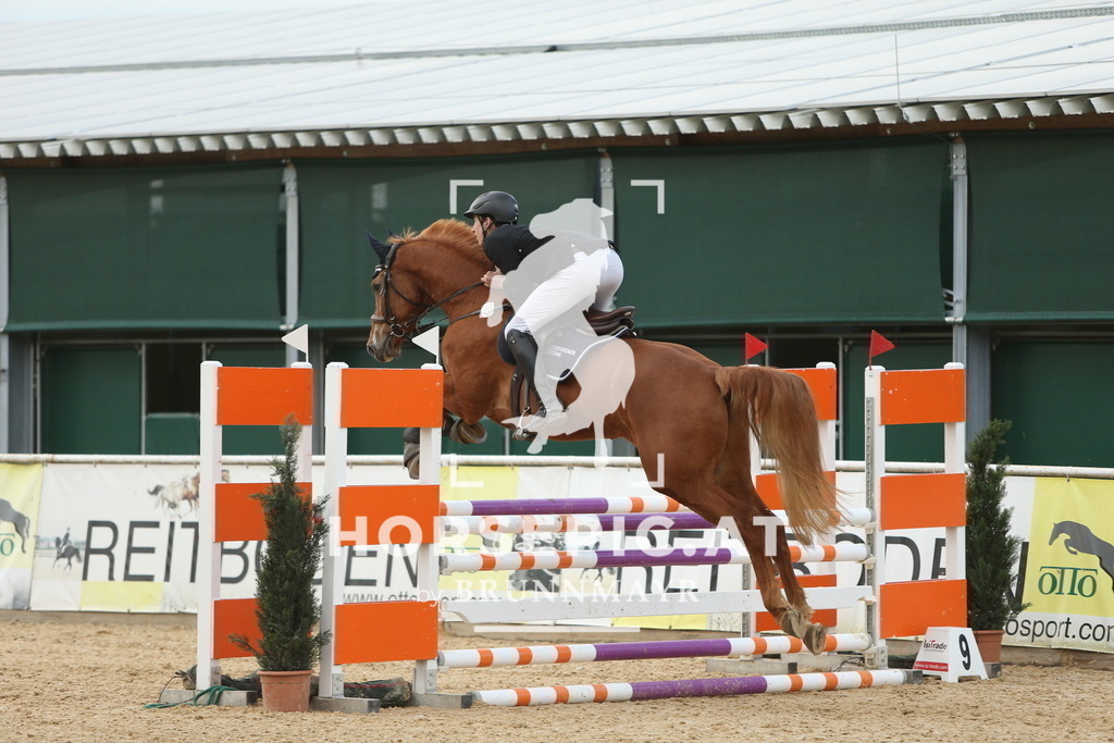 DL2Q2338 | Willkommen bei Brunnmayr - Design & Fotografie – Ihrem Spezialisten für Reitturniere und Pferdeveranstaltungen in Oberösterreich, Salzburg und Bayern! Seit über 17 Jahren sind wir leidenschaftlich dabei.