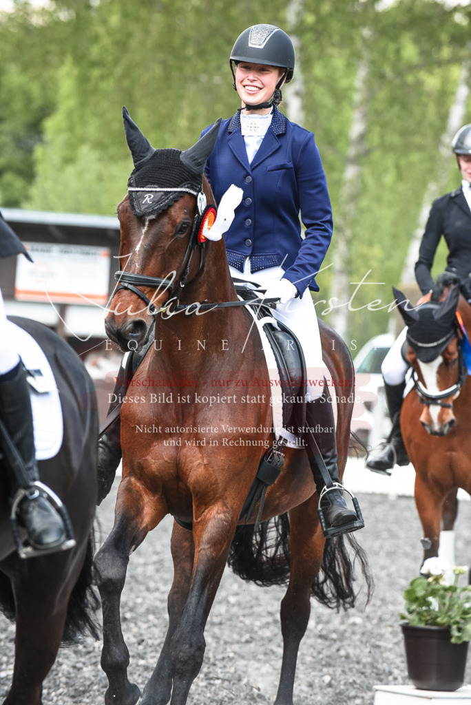 DSC_9095 | Pferde- und Turnierfotografie in Westsachsen. Pferdeportraits, Auftragszeichnungen und intuitive Kunst.
