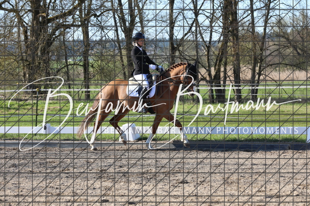 AZ2A6499 | Benjamin Bartmann Photomoments