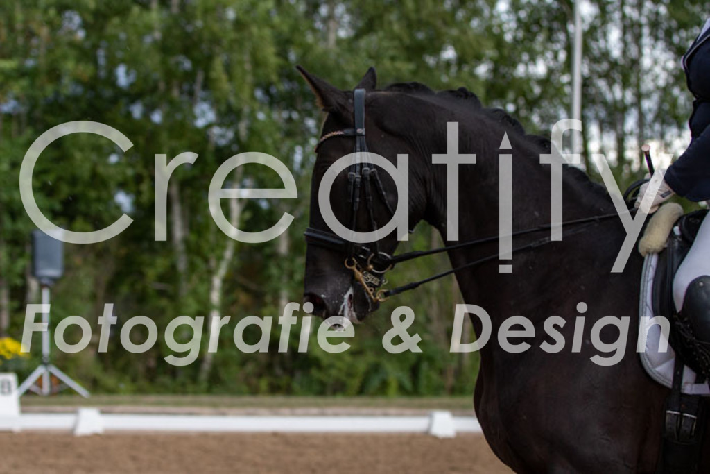 IMG_5637 | Creatify Fotografie