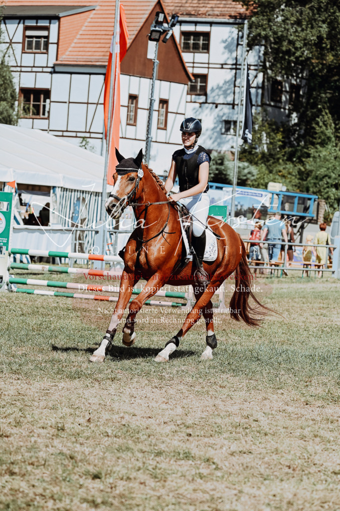 DSC_9689 | Pferde- und Turnierfotografie in Westsachsen. Pferdeportraits, Auftragszeichnungen und intuitive Kunst.