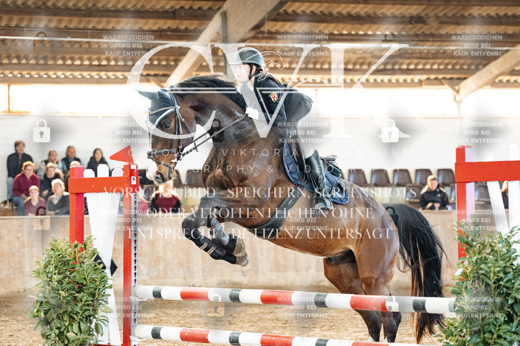 CK904441 | Turnierfotografie Pferdefotografie Trier Rheinland-Pfalz Pferdesport Reitsport Tierfotografie Sportfotografie Pferdevideo Pferdevideografie Equestrianvideography equestrianphotography  - Realized with Pictrs.com