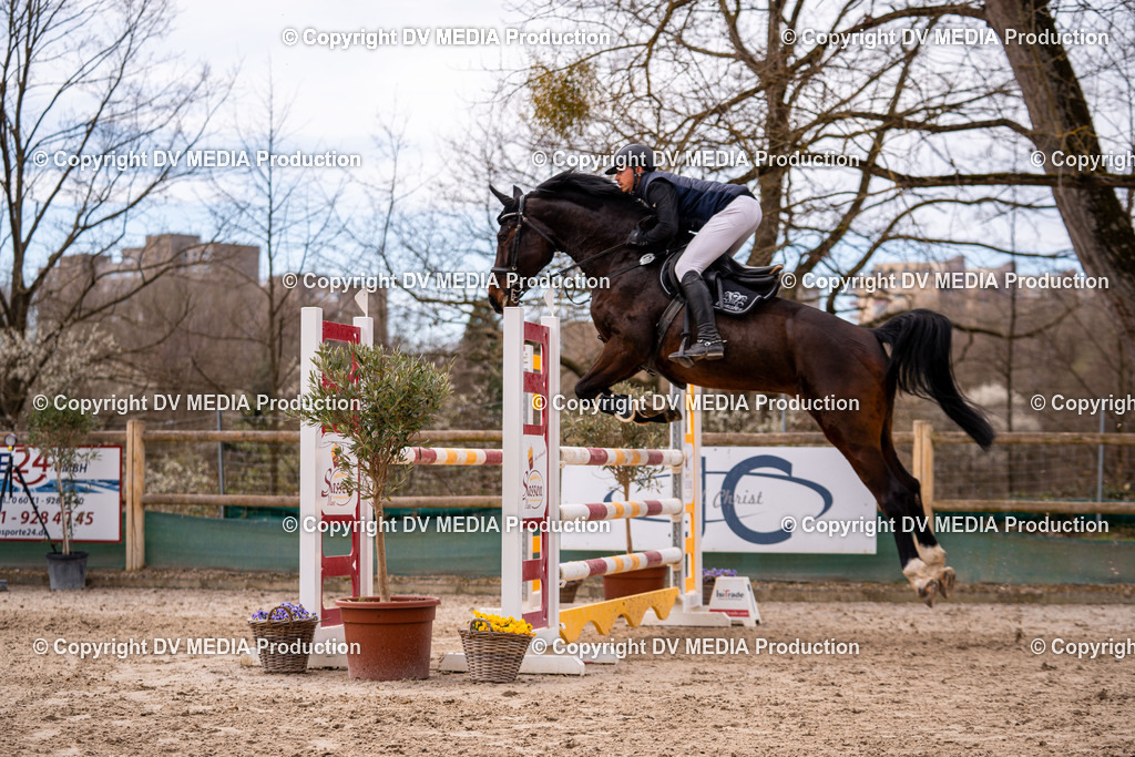 Kranichstein Tag 2-650 | dv-media-shop - Realisiert mit Pictrs.com