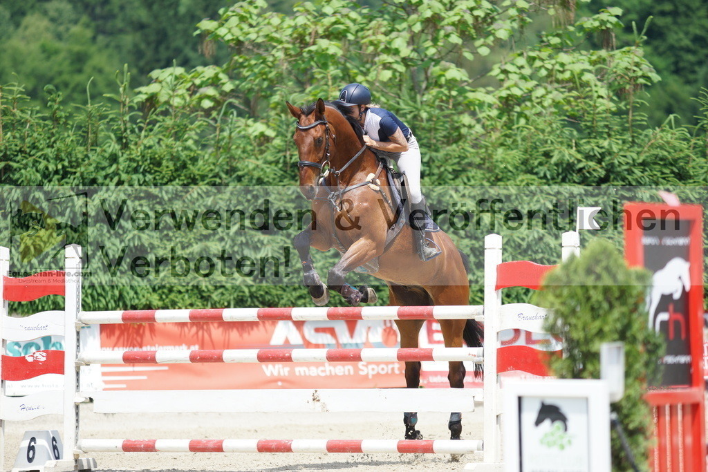 DSC00627 | equestrian-live-com