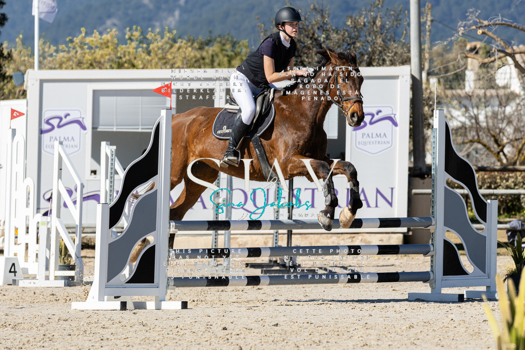 IMG_9312 | s-jay-photography - Realisiert mit Pictrs.com