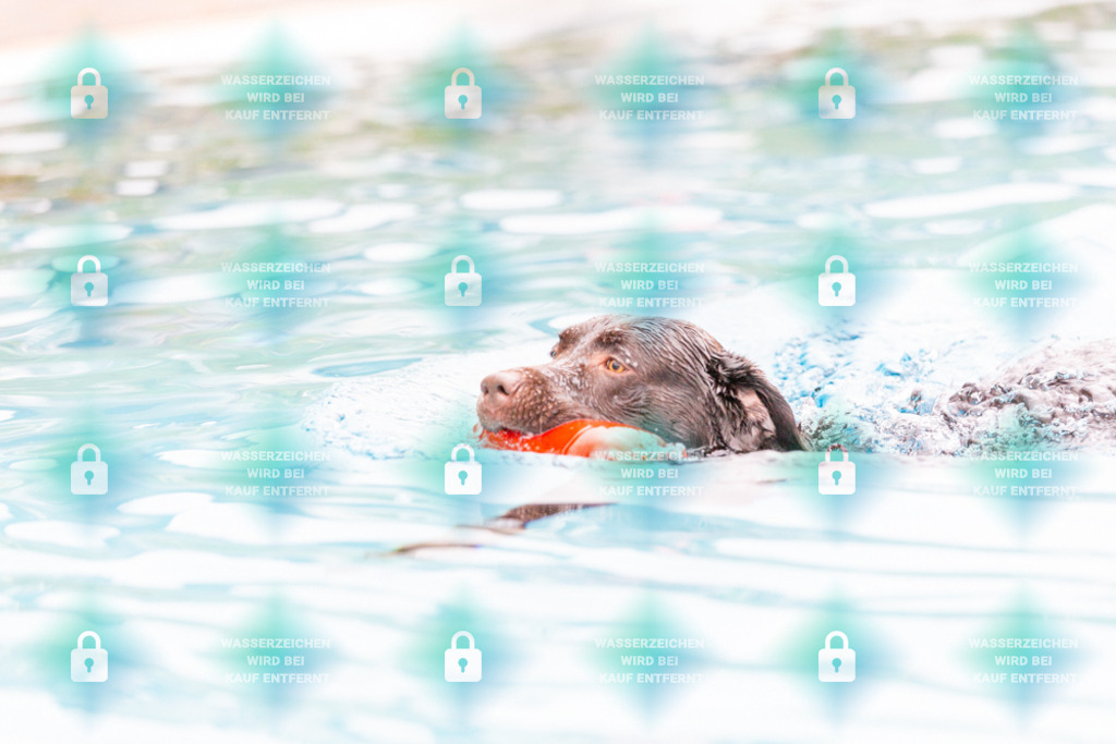 _HP_7276_1000o | HetPix, HetPix Fotodesign, Fotografie, Fotodesign, Webshop, Sportfotografie, Portraitfotografie, Onlineshop, Sportfotografie, Polch, Motorsportfotografie, Eventfotografie