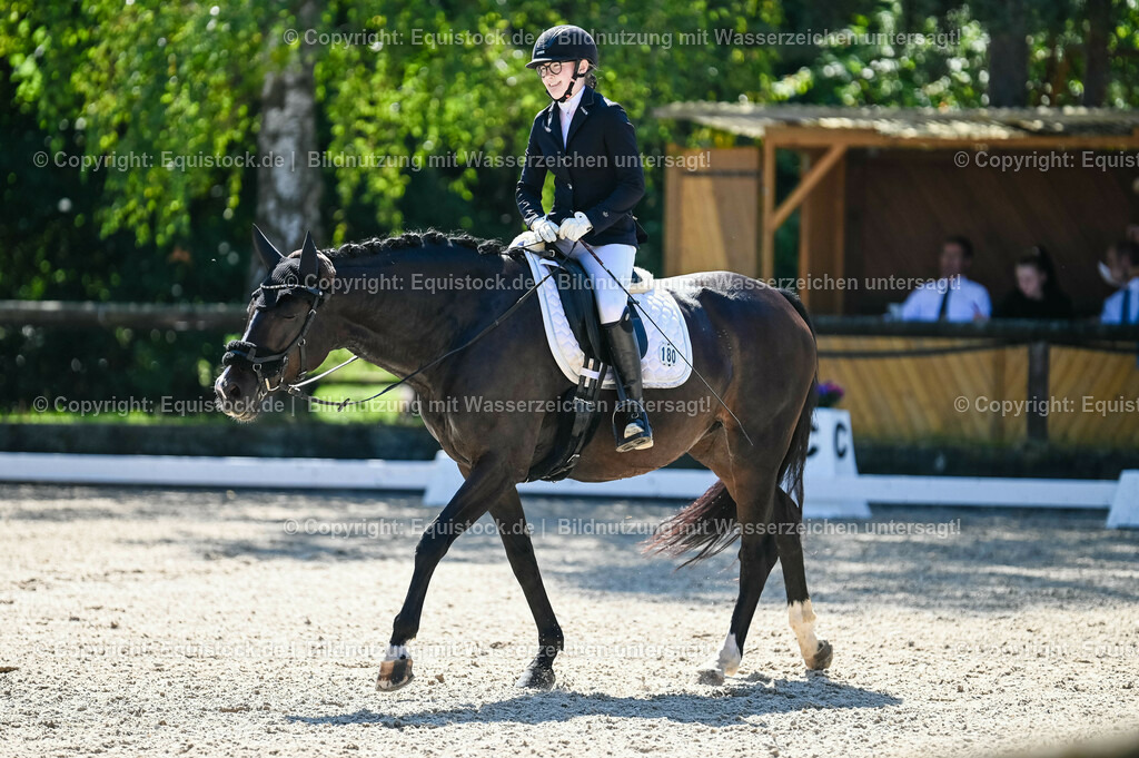 20230908_06_Dressur-L-Trense_0591 | equistock