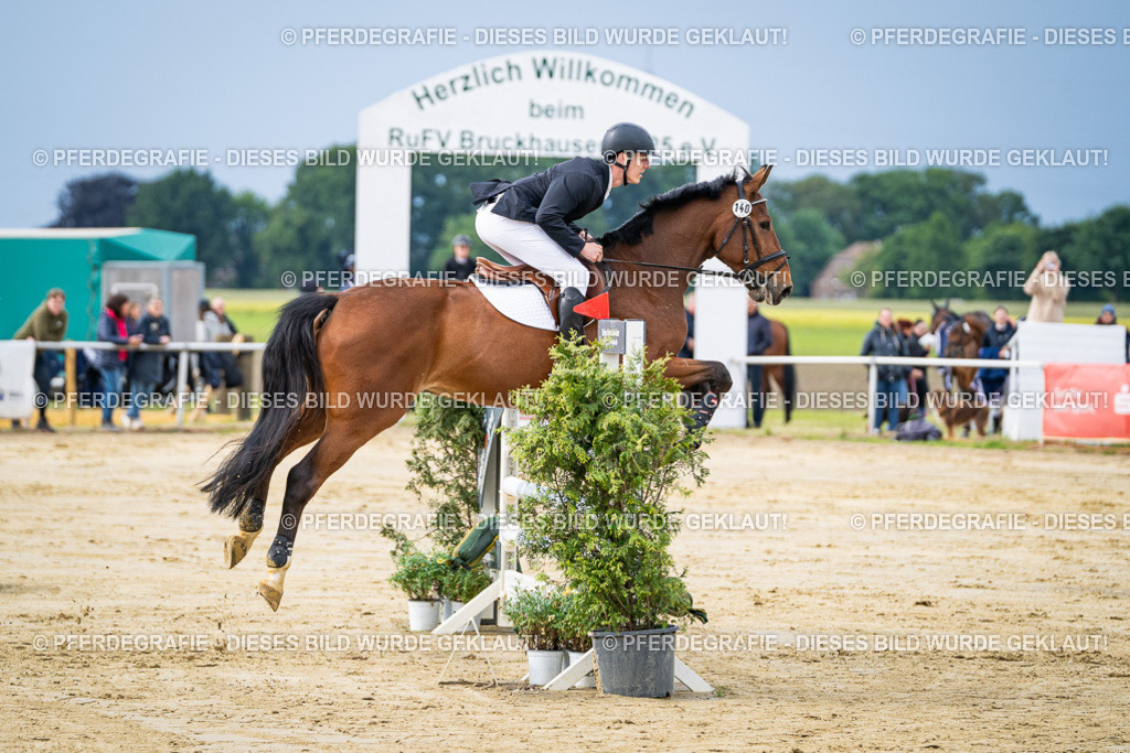 DSC03801 | Pferdegrafie