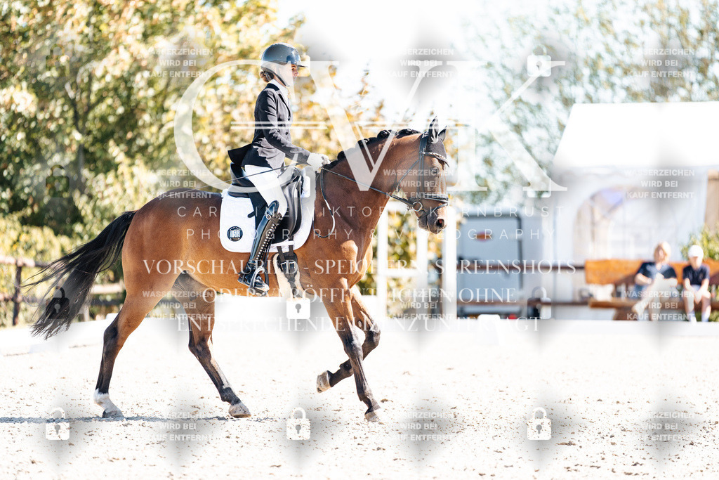 CK909280 | Turnierfotografie Pferdefotografie Trier Rheinland-Pfalz Pferdesport Reitsport Tierfotografie Sportfotografie Pferdevideo Pferdevideografie Equestrianvideography equestrianphotography  - Realisiert mit Pictrs.com