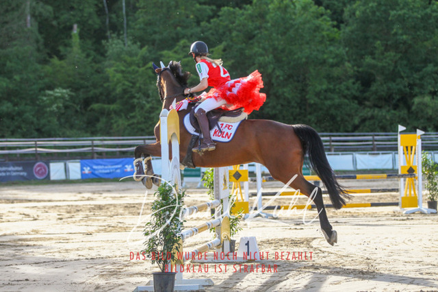 DKP45145 | Turnierfotos kaufen im Webshop von Daniel Kuhl Photography – entdecke professionelle Reitsportfotos aus Turnieren & Events. Hochwertige Turnierbilder online bestellen & sichern. Jetzt Fotos von Reitsportturnieren kaufen!