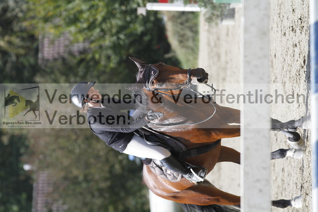 _MG_6091 | equestrian-live-com