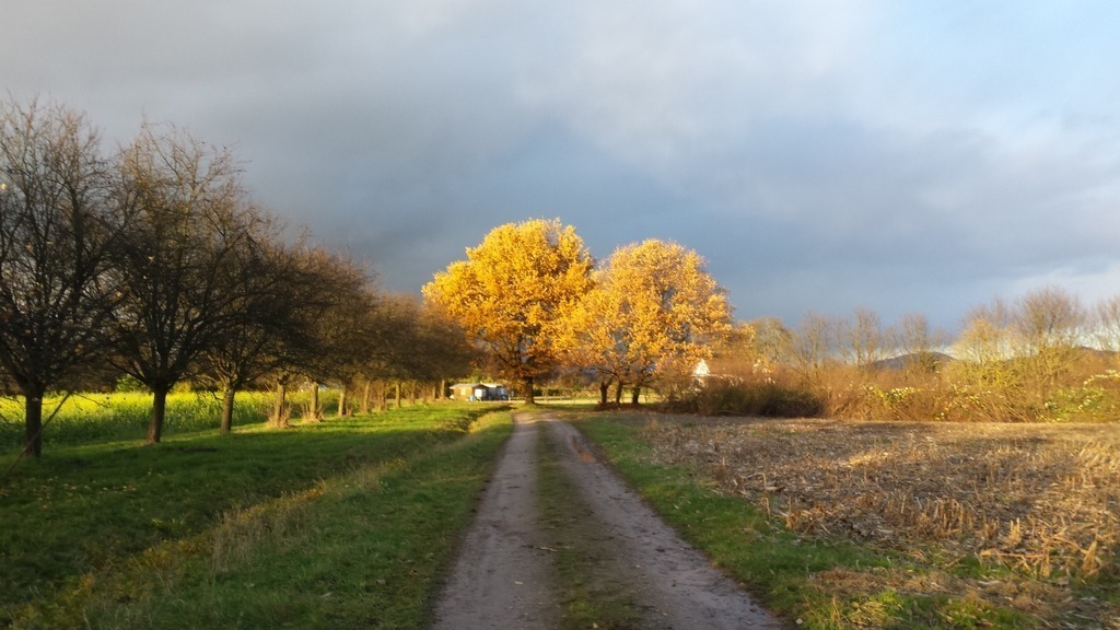 20161119_154623 | klausulrichmoeller - Realisiert mit Pictrs.com