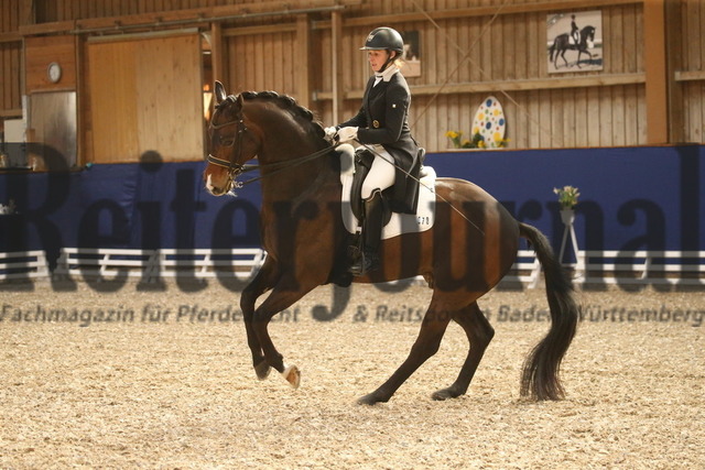 Turnier_Zeutern_2022_Prfg.Nr.02_Kurz-GrandPrix_Nicole Isser_DiCaprio 4 (14) | Alle Fotos der Reiterjournal Fotografin Doris Matthaes im Reiterjournal Online-Fotoshop. - Realisiert mit Pictrs.com